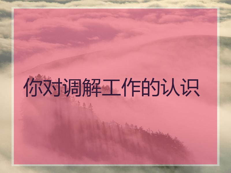 你对调解工作的认识