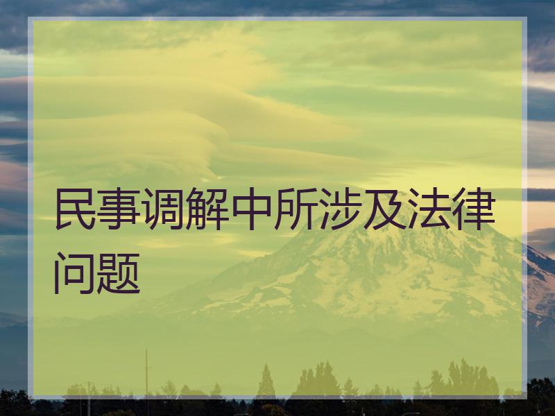 民事调解中所涉及法律问题