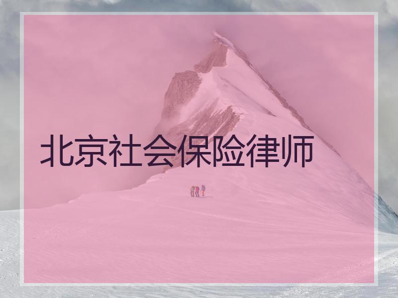 北京社会保险律师