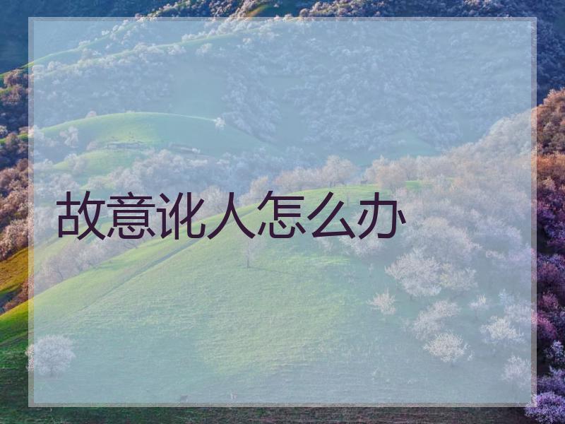 故意讹人怎么办