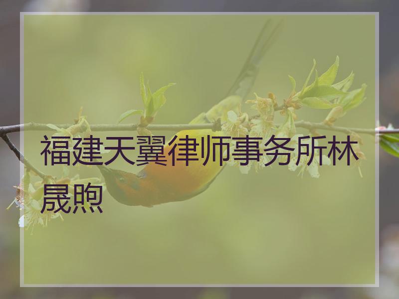 福建天翼律师事务所林晟煦