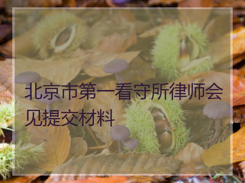 北京市第一看守所律师会见提交材料