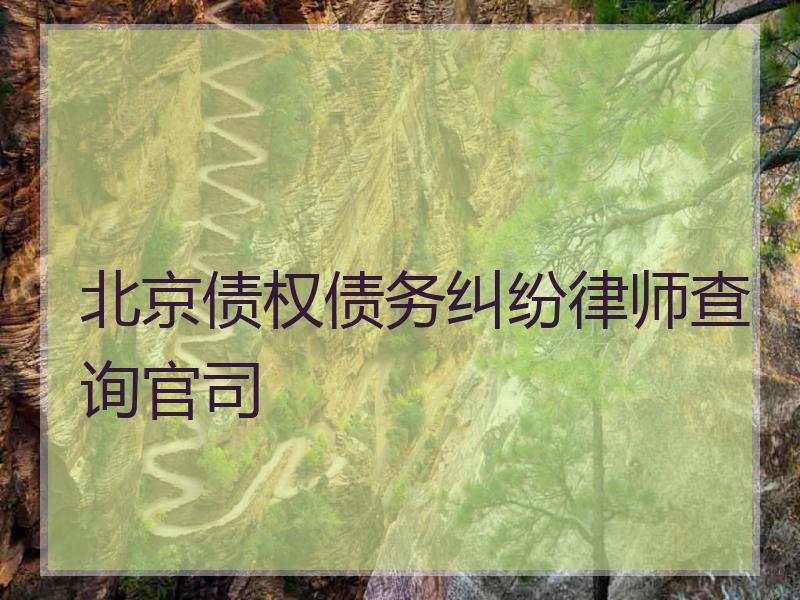 北京债权债务纠纷律师查询官司