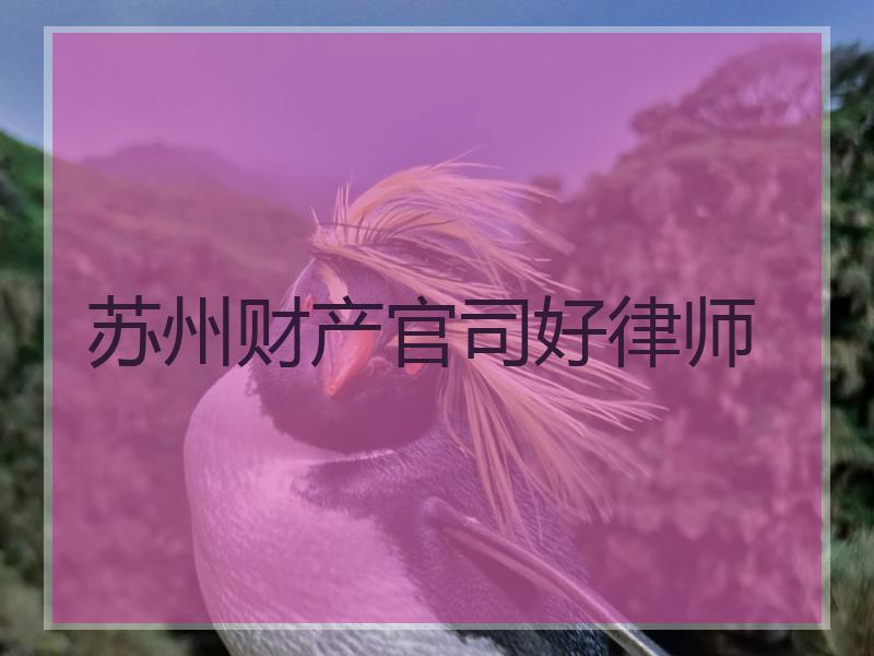 苏州财产官司好律师