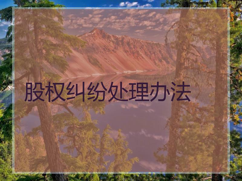 股权纠纷处理办法