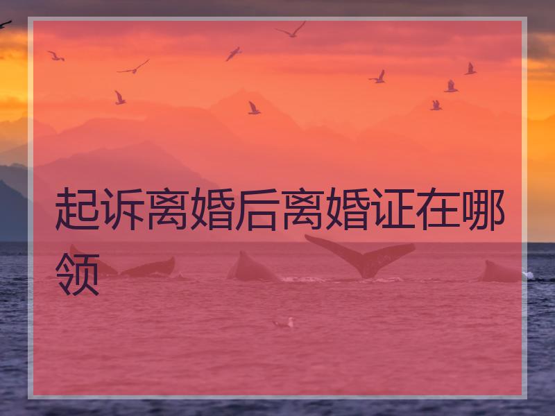 起诉离婚后离婚证在哪领