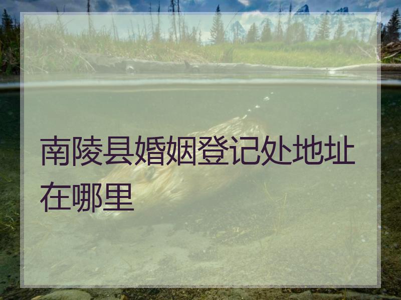 南陵县婚姻登记处地址在哪里
