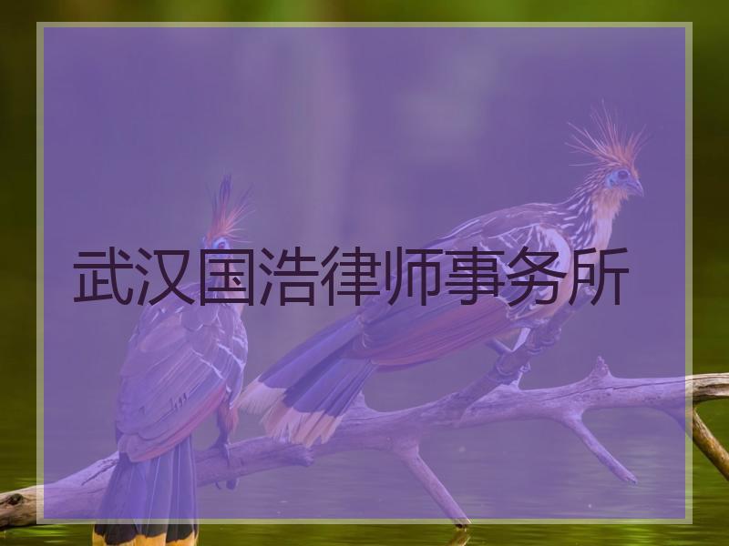 武汉国浩律师事务所