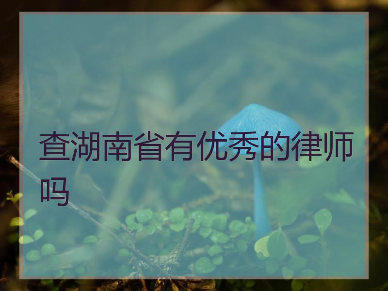 查湖南省有优秀的律师吗