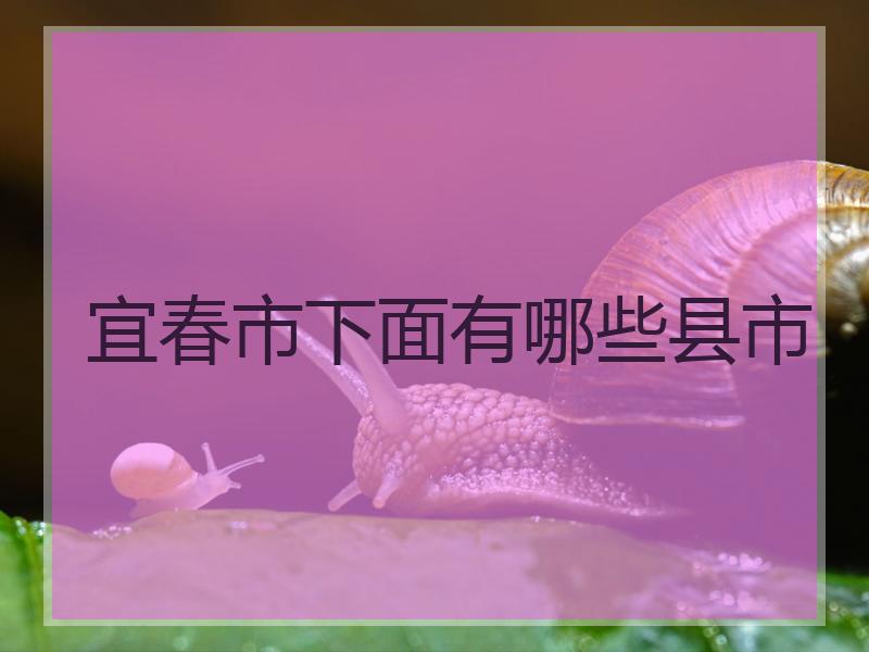 宜春市下面有哪些县市