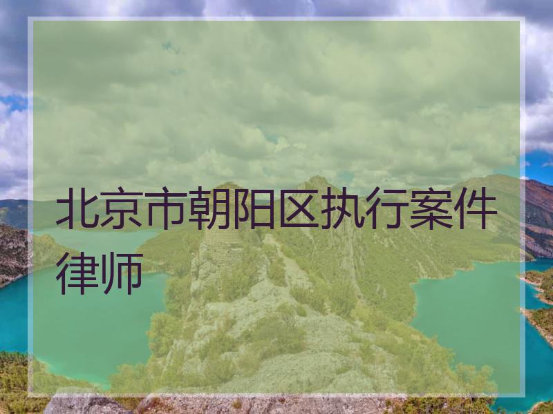 北京市朝阳区执行案件律师