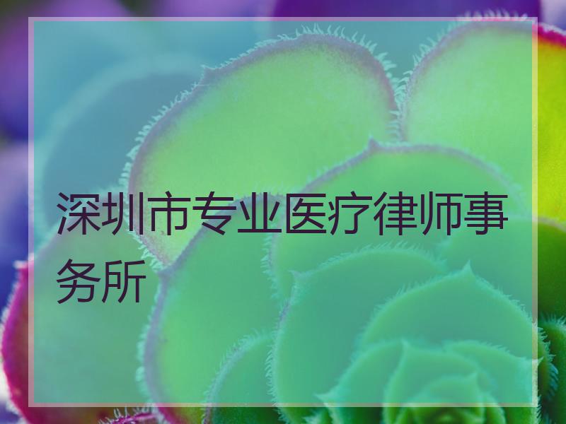 深圳市专业医疗律师事务所