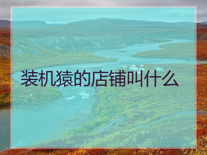 装机猿的店铺叫什么