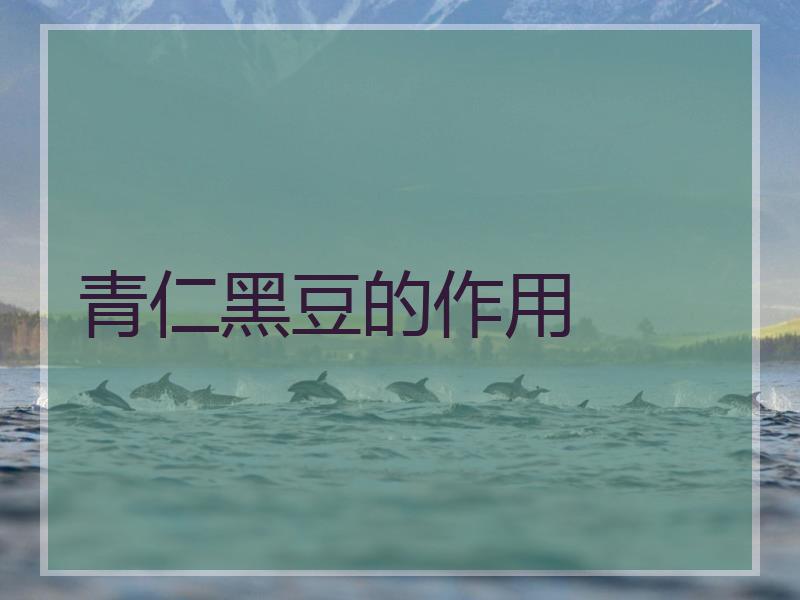 青仁黑豆的作用
