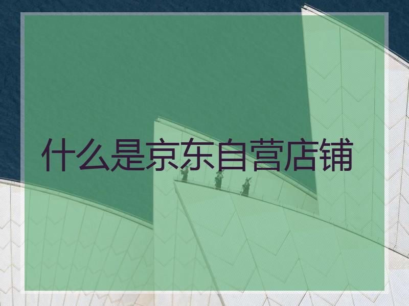 什么是京东自营店铺