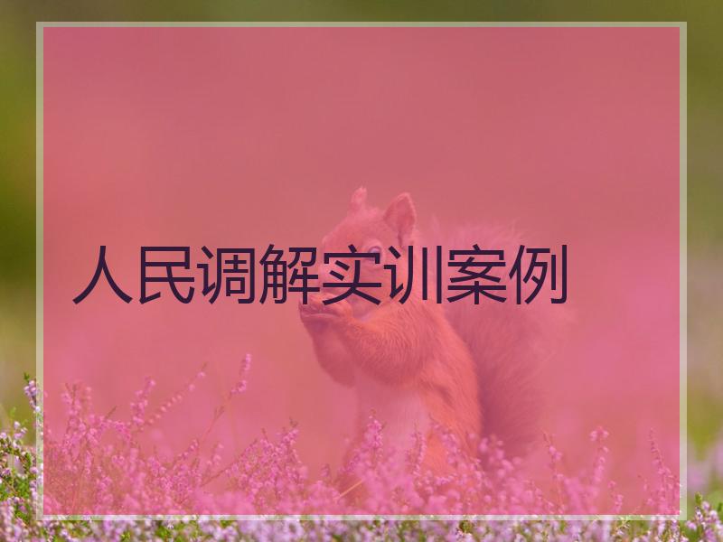 人民调解实训案例