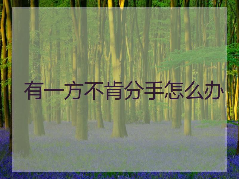 有一方不肯分手怎么办