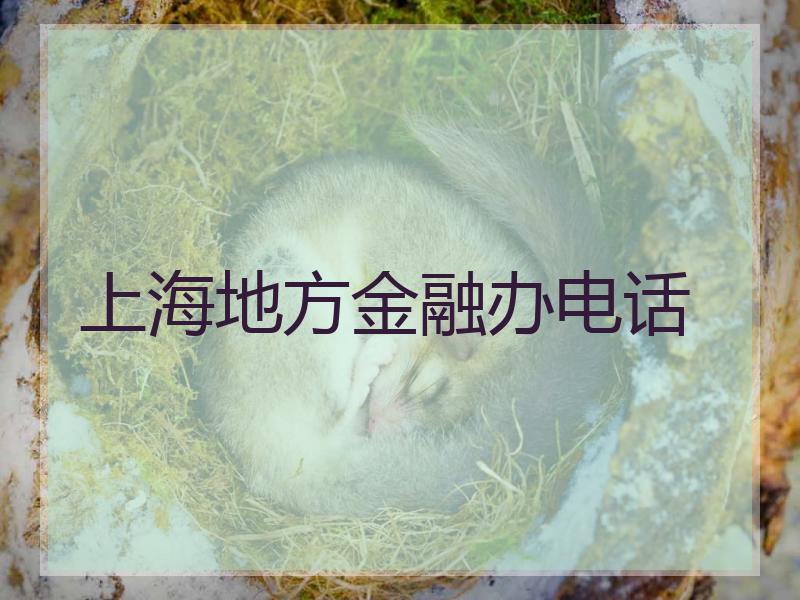 上海地方金融办电话