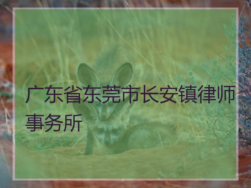广东省东莞市长安镇律师事务所