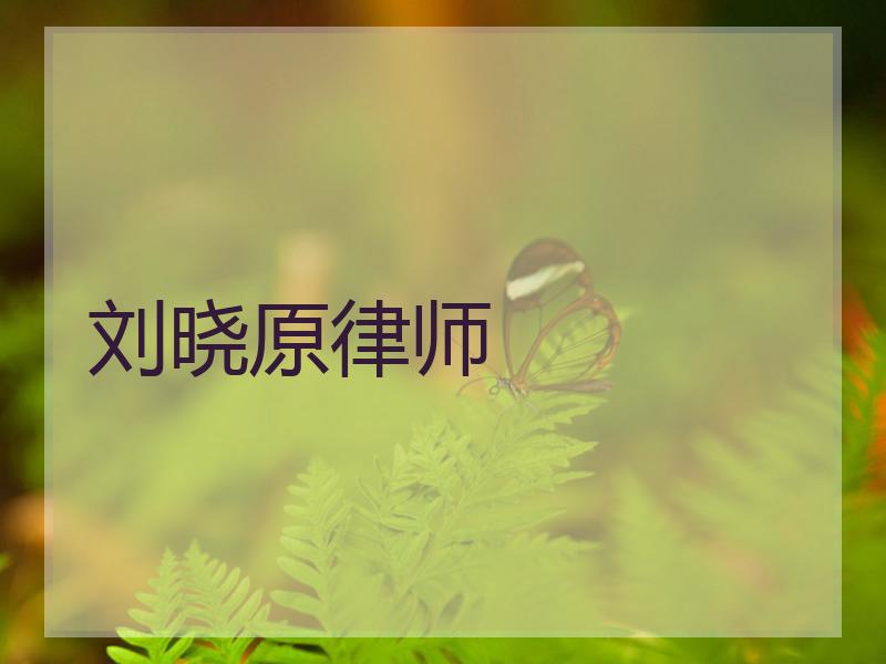 刘晓原律师