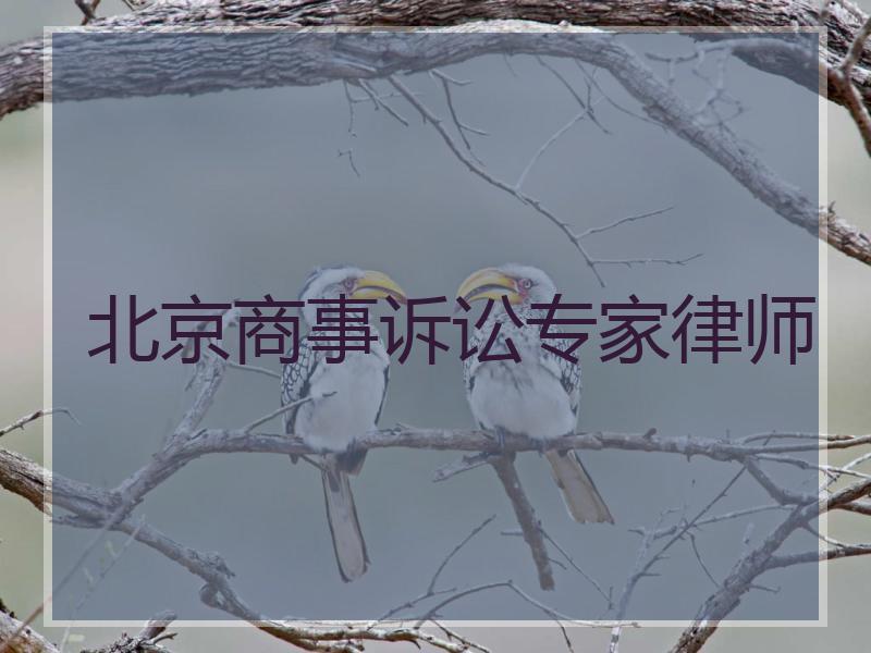 北京商事诉讼专家律师