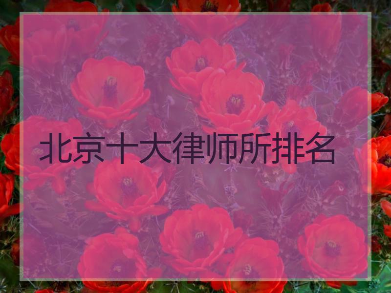 北京十大律师所排名