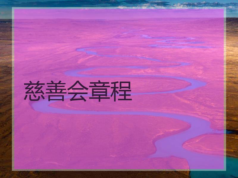 慈善会章程