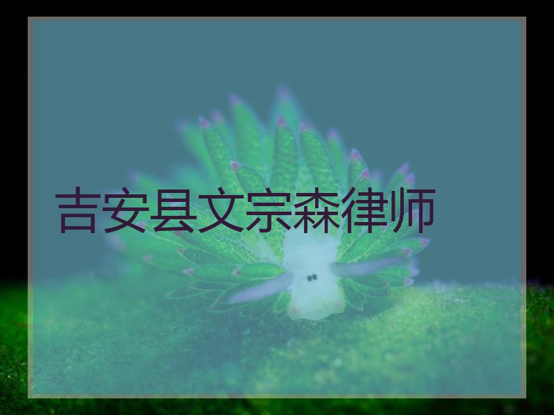 吉安县文宗森律师