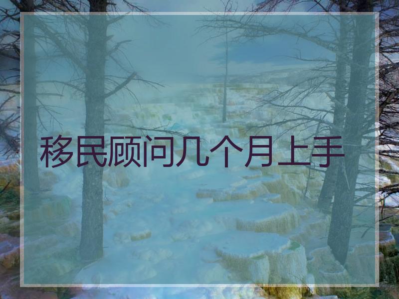 移民顾问几个月上手 移民顾问几个月上手