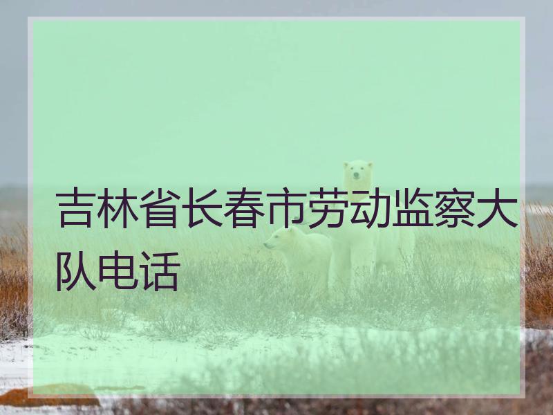 吉林省长春市劳动监察大队电话