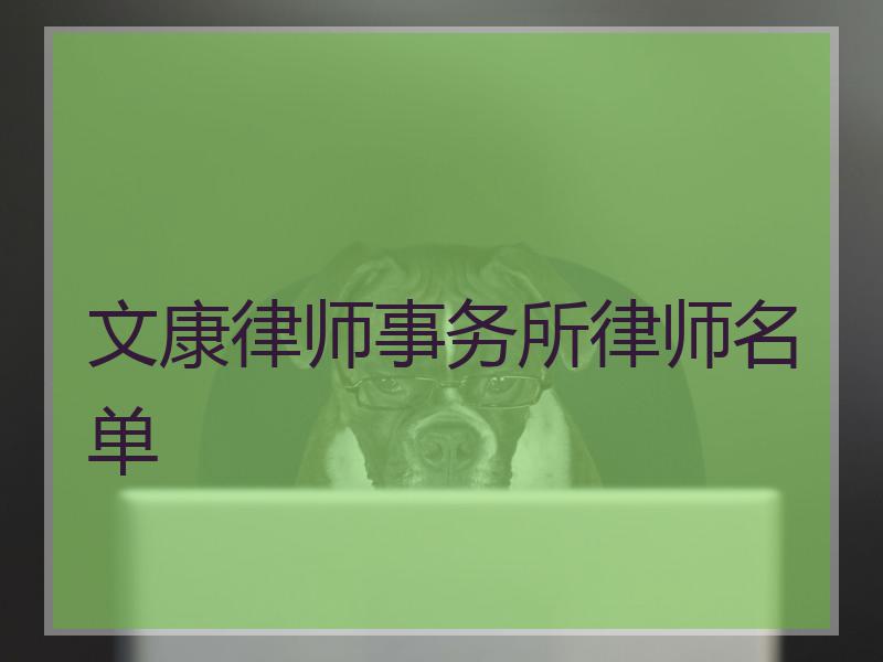 文康律师事务所律师名单