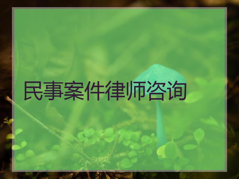 民事案件律师咨询