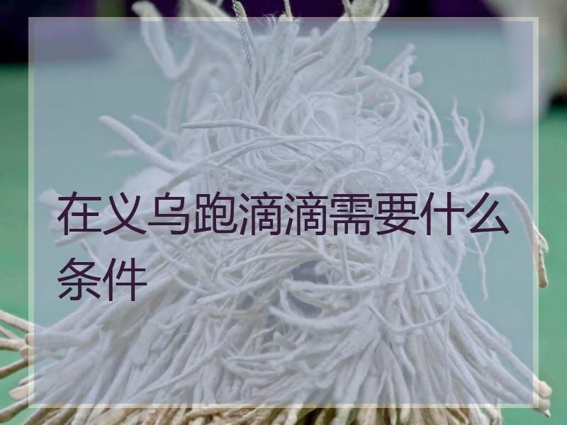 在义乌跑滴滴需要什么条件