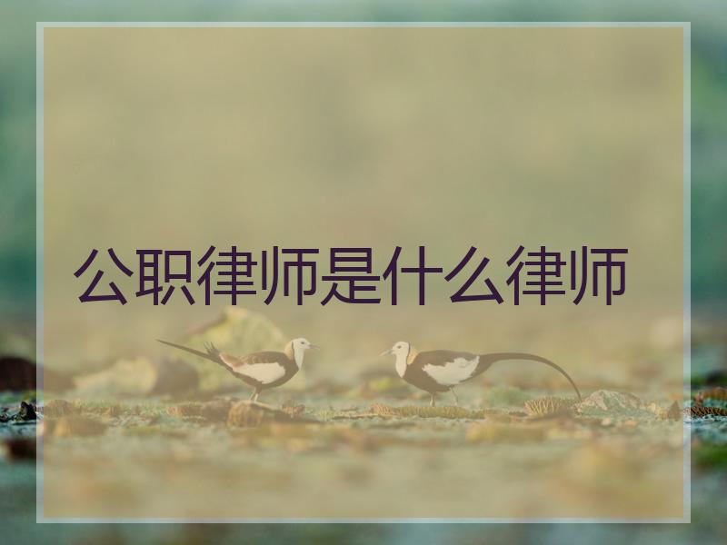 公职律师是什么律师