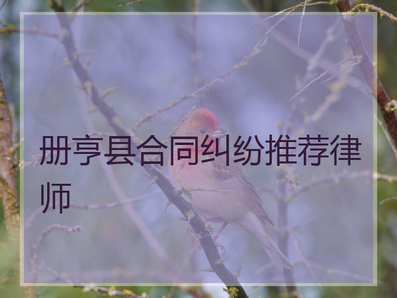 册亨县合同纠纷推荐律师