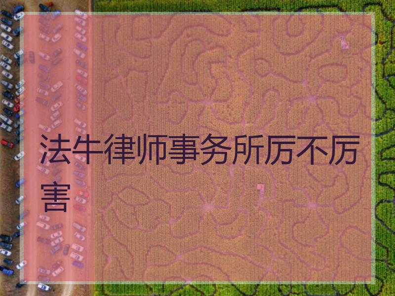法牛律师事务所厉不厉害