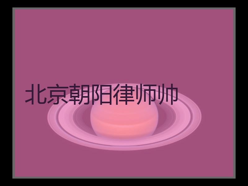 北京朝阳律师帅