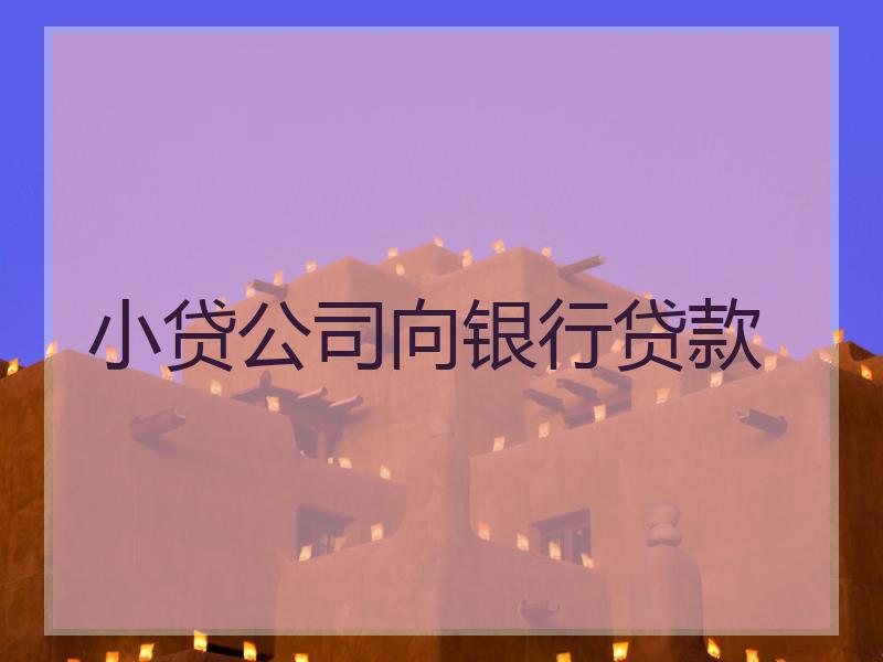 小贷公司向银行贷款