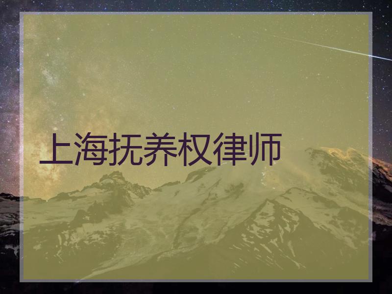 上海抚养权律师