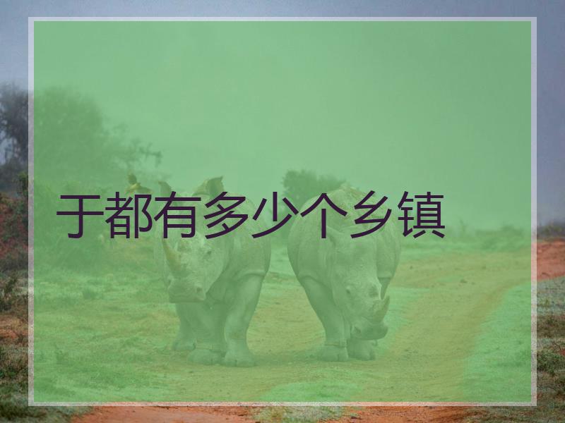 于都有多少个乡镇