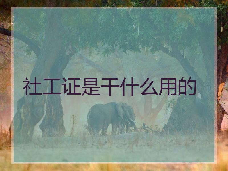 社工证是干什么用的