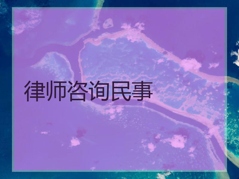 律师咨询民事