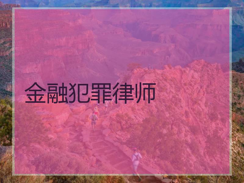 金融犯罪律师