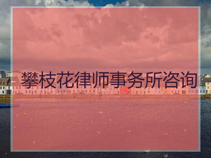 攀枝花律师事务所咨询