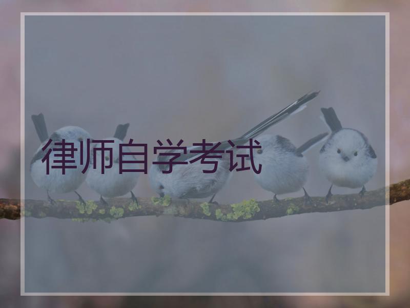 律师自学考试