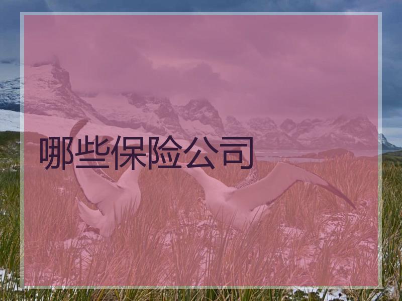 哪些保险公司