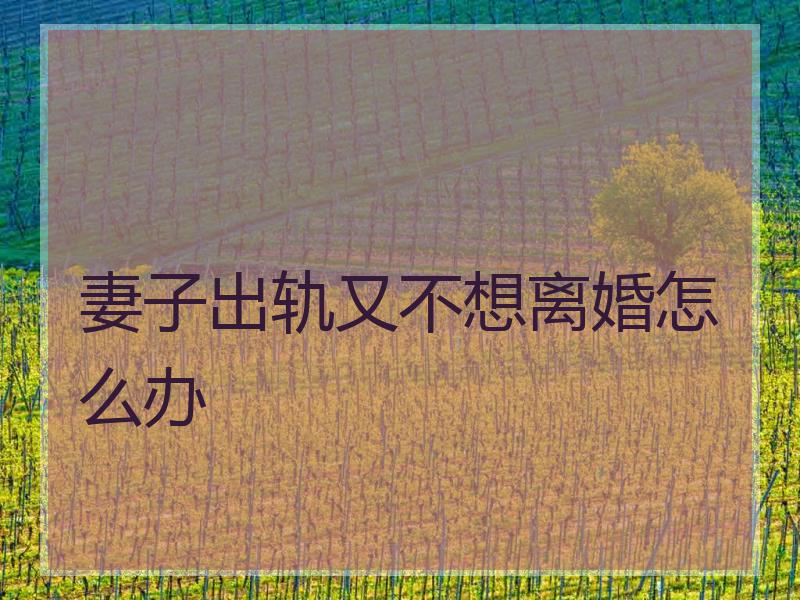 妻子出轨又不想离婚怎么办
