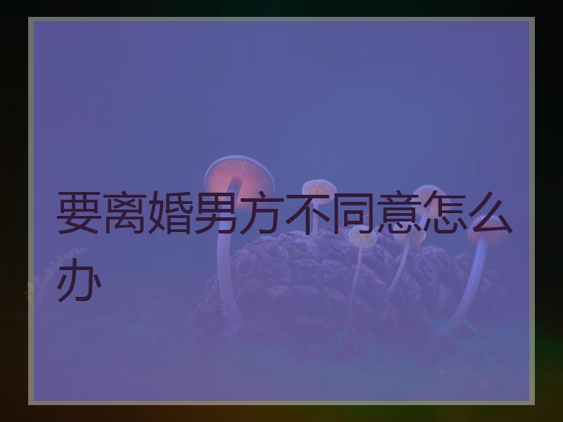 要离婚男方不同意怎么办