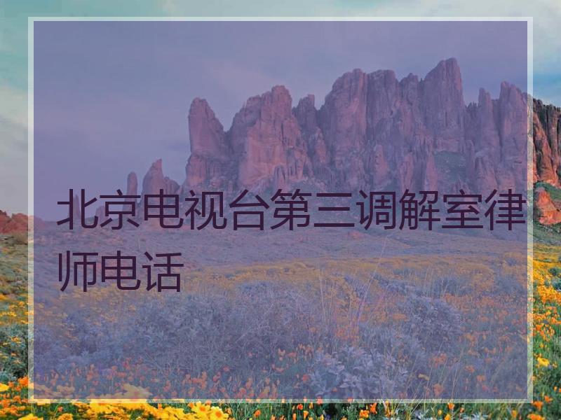 北京电视台第三调解室律师电话