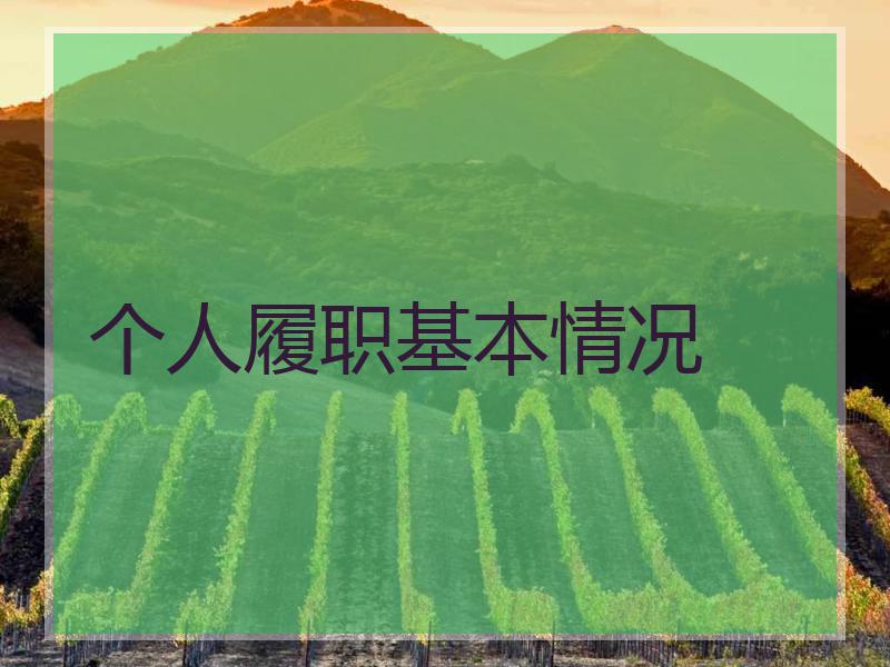 个人履职基本情况